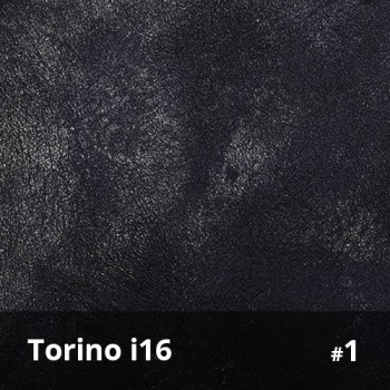 Torino i16 1
